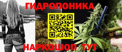гидра Пушкино