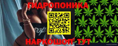 jwh Пугачёв