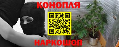 jwh Пугачёв