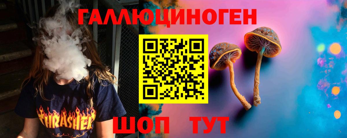Псилоцибиновые грибы мицелий Сердобск